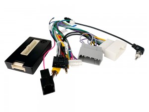 Переходник для магнитол 9", 10.1" Dodge Journey, Fiat Freemont AWM 170-002